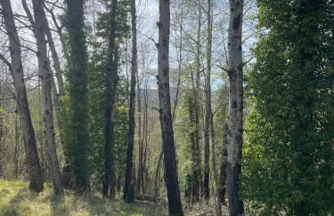 il casale di Bruno e Pina - Foto 32