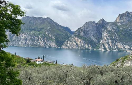 Casa Filomena - Photo 25