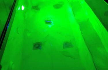 Lexury Suite Acqua - Foto 23