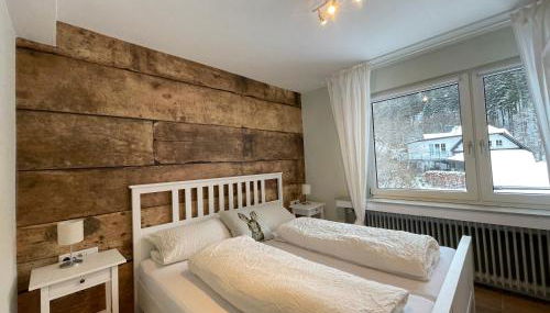 Ferienwohnungen Rothaarglück - Foto 4