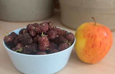 Vakantiehuis Casa de Musica - Foto 55