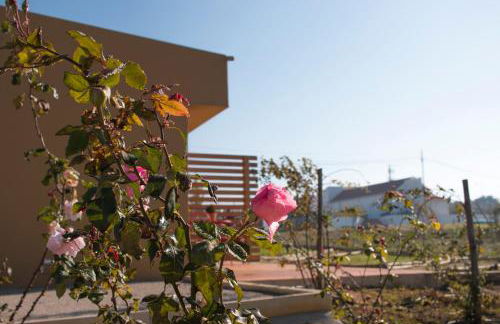 Entre Vinhas & Mar - Foto 79