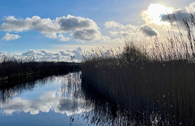 Cozy Holiday Home With Terrace - Photo 39