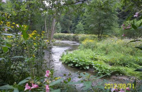 Ferienwohnung Zum Lilienstein - Foto 34