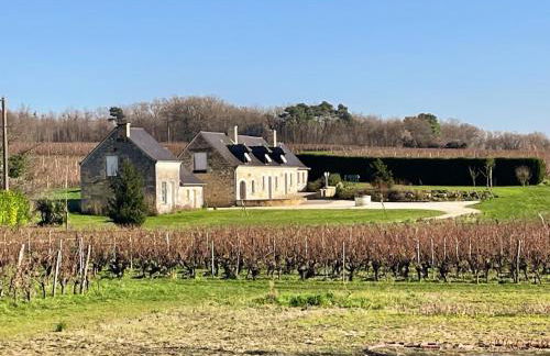 Gîte viticole tout inclus, jardin 3000m², vélos offerts, proche Saumur-Chinon-Langeais - FR-1-381-606 - Foto 1