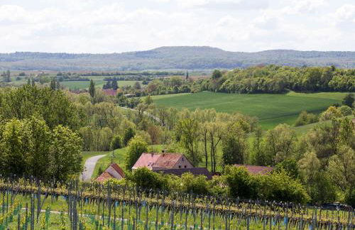 Biobauer Heubach - Foto 2