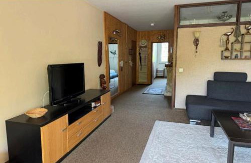 Ferienbutze Harz Drachenperle - Foto 11