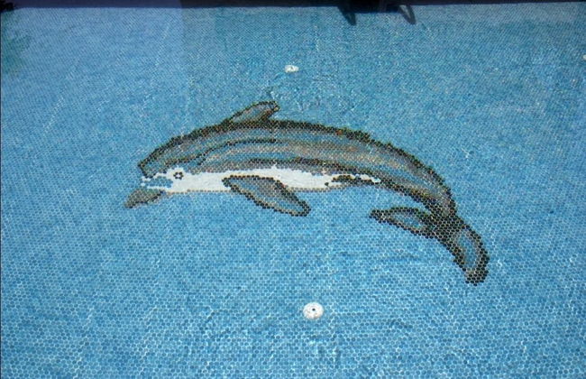 Agar Apart - Photo 11