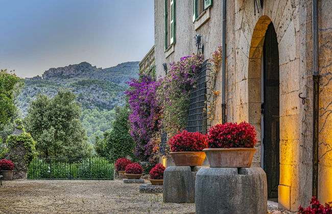 Son Grua Agroturismo - Adults Only - Photo 31