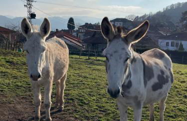 El escondite de Torazo - Foto 16