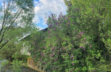 Ferienwohnung Krone 2 - Mernes - Foto 32