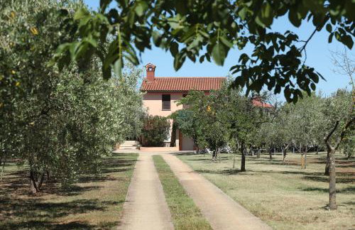 Uliveto Apartment - Foto 34