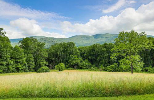 Mtn Views and Hot Tub 6-Acre Blue Ridge Retreat! - Foto 40