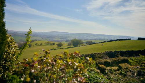 Dukes Well - Foto 5, Garden, Garden view