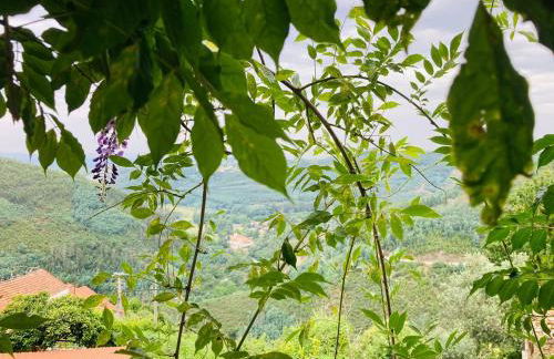 Casa do Ferreiro - Bocado Arganil - Foto 61