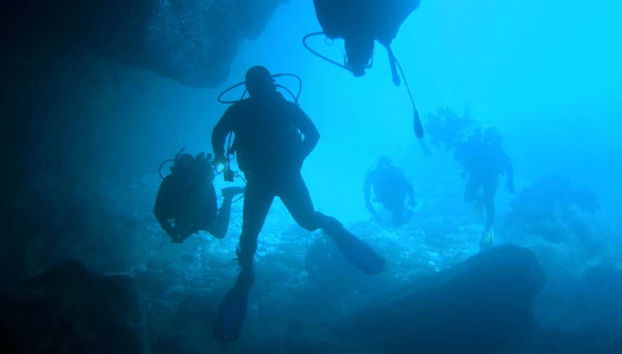 Viviréis una gran experiencia submarina