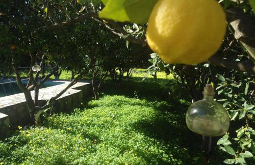 Terre Cretoise - Foto 46