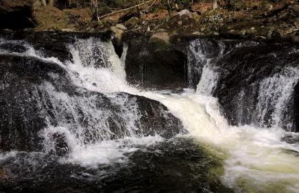 Haus Elisabeth - Foto 31