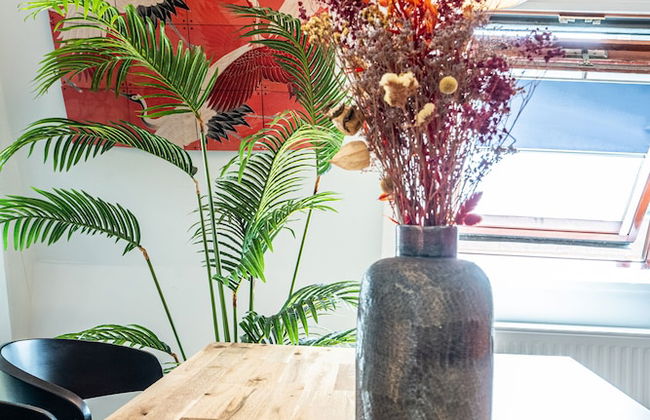 Casa Coral - Photo 22