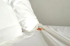 Ajuy Tortuga House - Photo 18