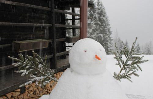 Hotel Rikhelan - Foto 51