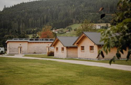 Natur-Camp Tannenfels - Foto 6