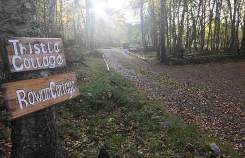 Thistle Cottage, CrannachCottages - Foto 20