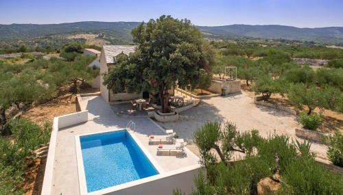 Villa Dubrava Peaceful Getaway in an Olive Grove with Heated Pool - Foto 5