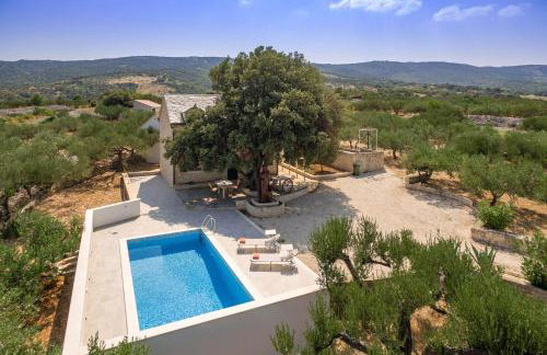 Villa Dubrava Peaceful Getaway in an Olive Grove with Heated Pool - Foto 5