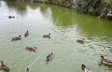 Spencers Retreat at Percy Wood Country Park - Foto 18