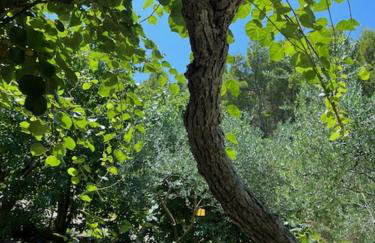 Apartman Barićevi dvori - Foto 11