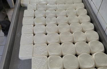 Appartement T2 Bord de Mer - Maria Beach - Foto 43