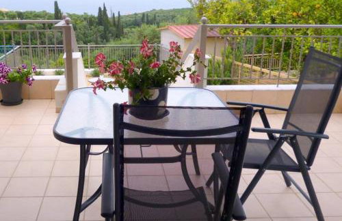 Ανεμώνη - Anemoni - Foto 2