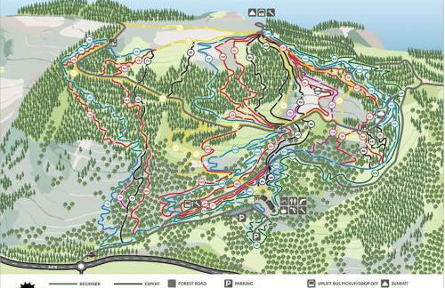 Viaduct View - Cefn Coed - Photo 25