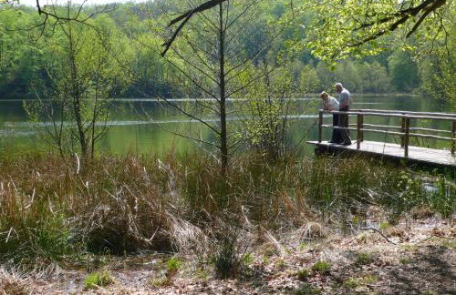 Apartment Dat Lütje 516 by Interhome - Foto 14