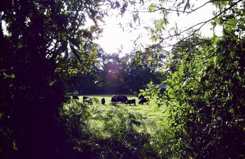 Historic Farmhouse in Hohnebostel with Garden near Lake - Foto 37