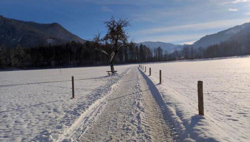 Ferienwohnungen Rohnbogner - Foto 5