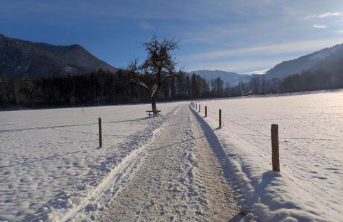 Ferienwohnungen Rohnbogner - Foto 5