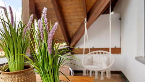 Ferienwohnung Holzapfel - Foto 2