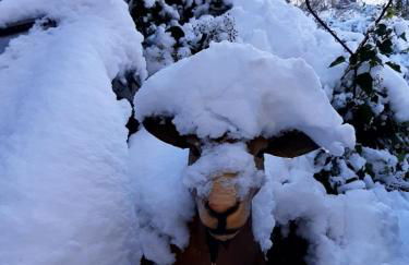 Abu-Ferienwohnung - Foto 21