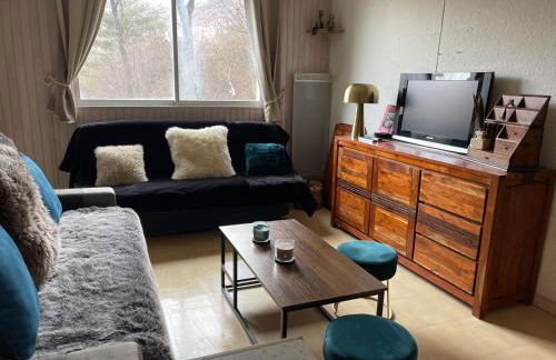 Studio au pied des pistes - Foto 3