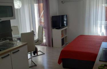Apartman Viola Mareda - Photo 1