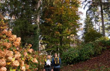 Innesti Rooms&Apartments - Le camere - Foto 27