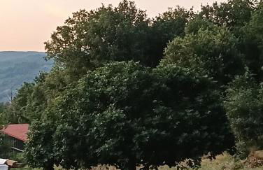 O FOGAR DAS FINAS - Foto 6