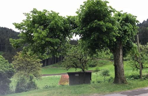 Waldbauernhof - Foto 13