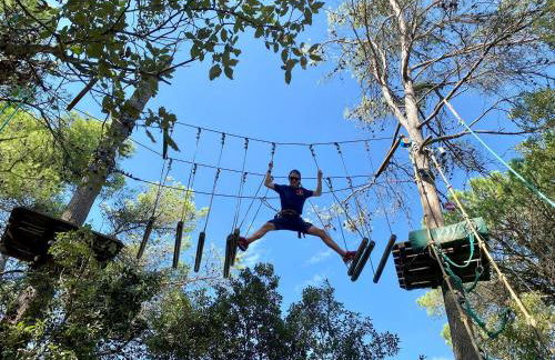 Au point du jour - Gîtes Carcassonne, Lac de la Cavayère - Foto 47
