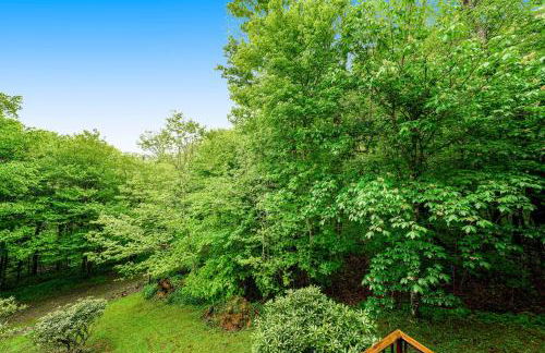 Misty Woods 03 - Foto 2