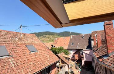 Gîte chez "Mamie Schlop" - Photo 45