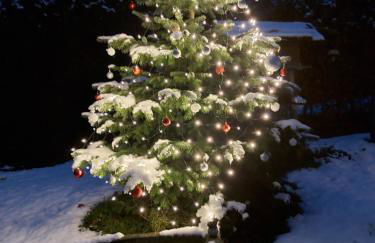 AnNo - Die Wohlfühl - Idylle in Grünbach_Kirchdorf - Foto 24