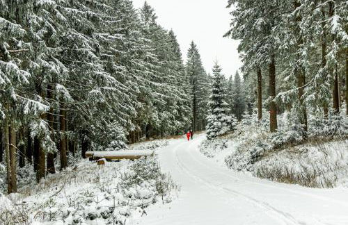 Apartment in Ilmenau 42915 - Foto 7